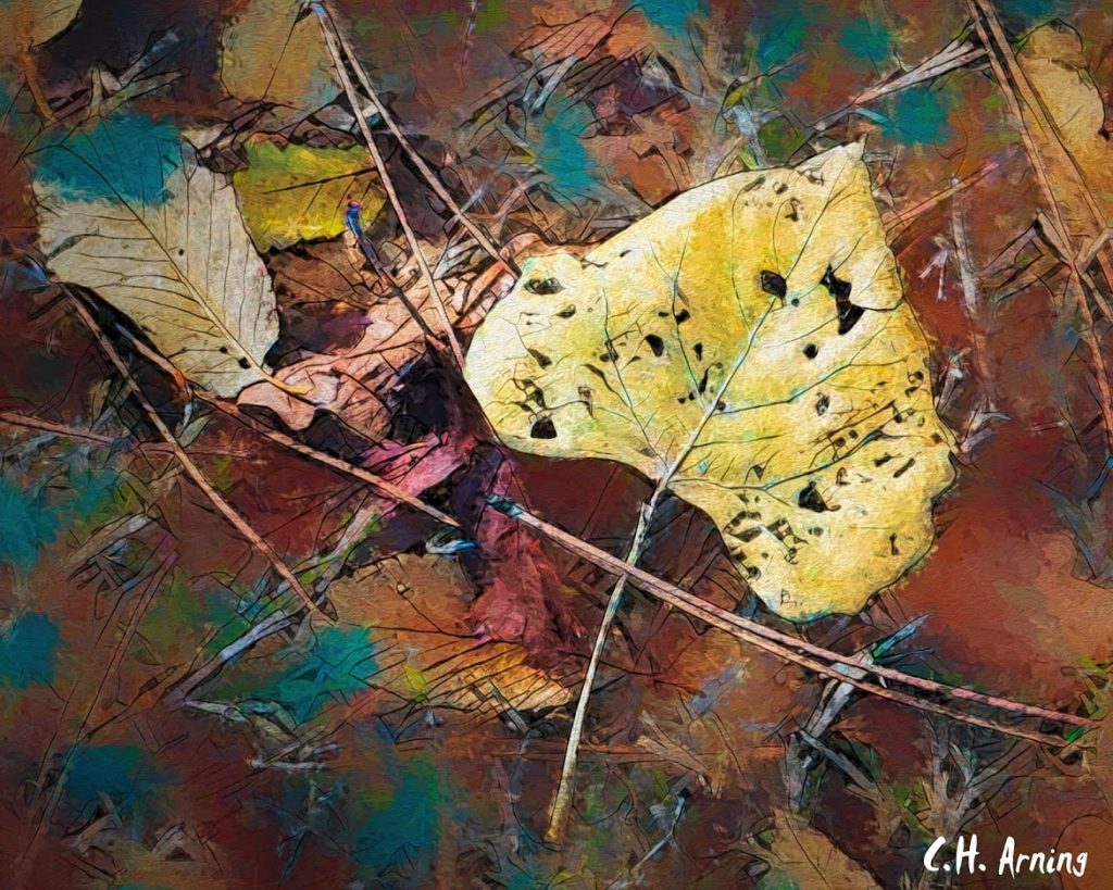 Autumn Leaves