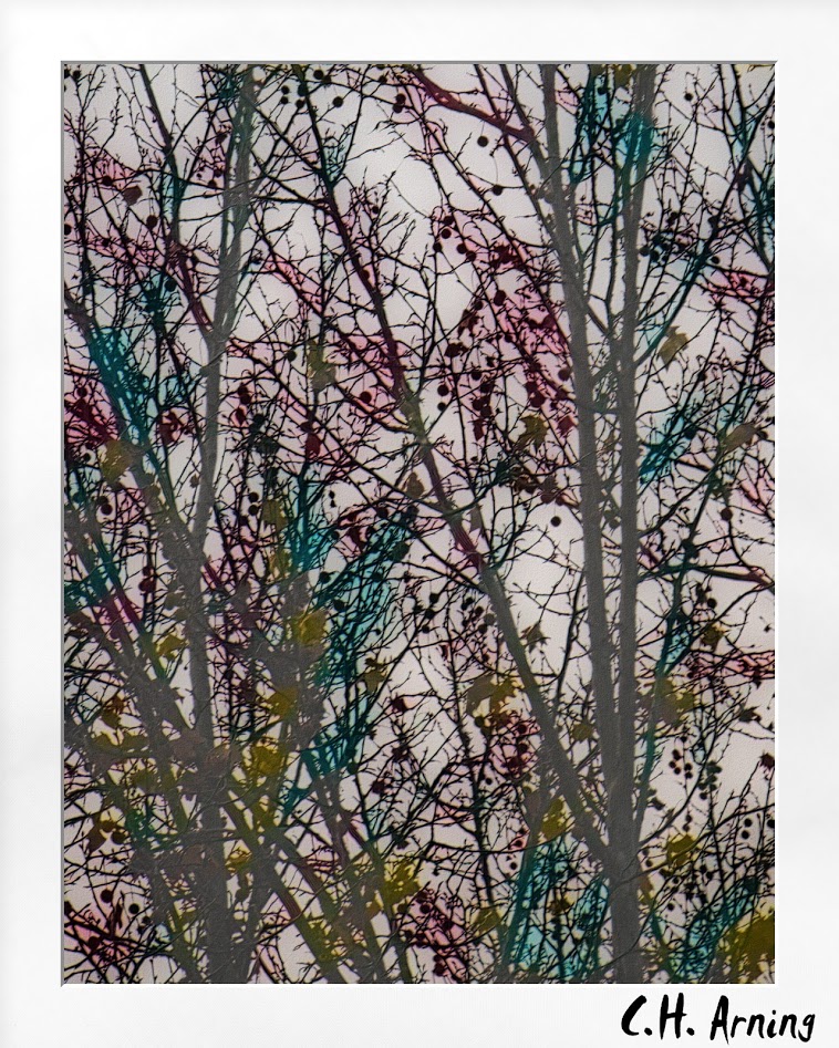 through the trees