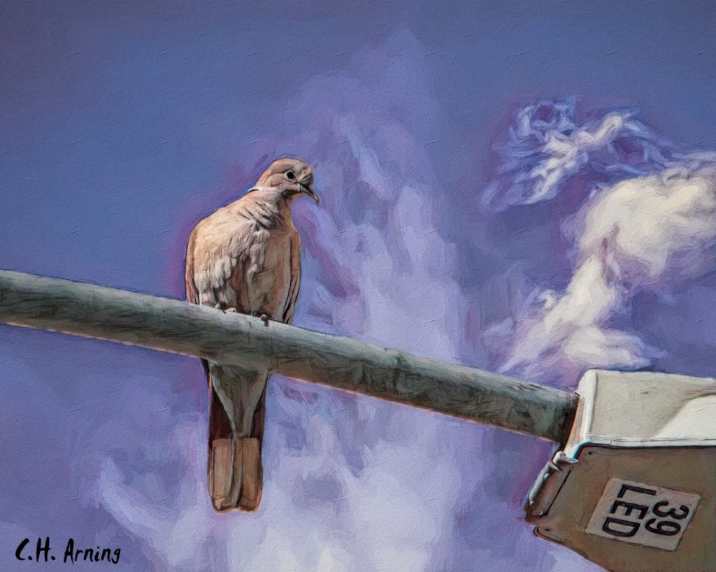 Standing Guard