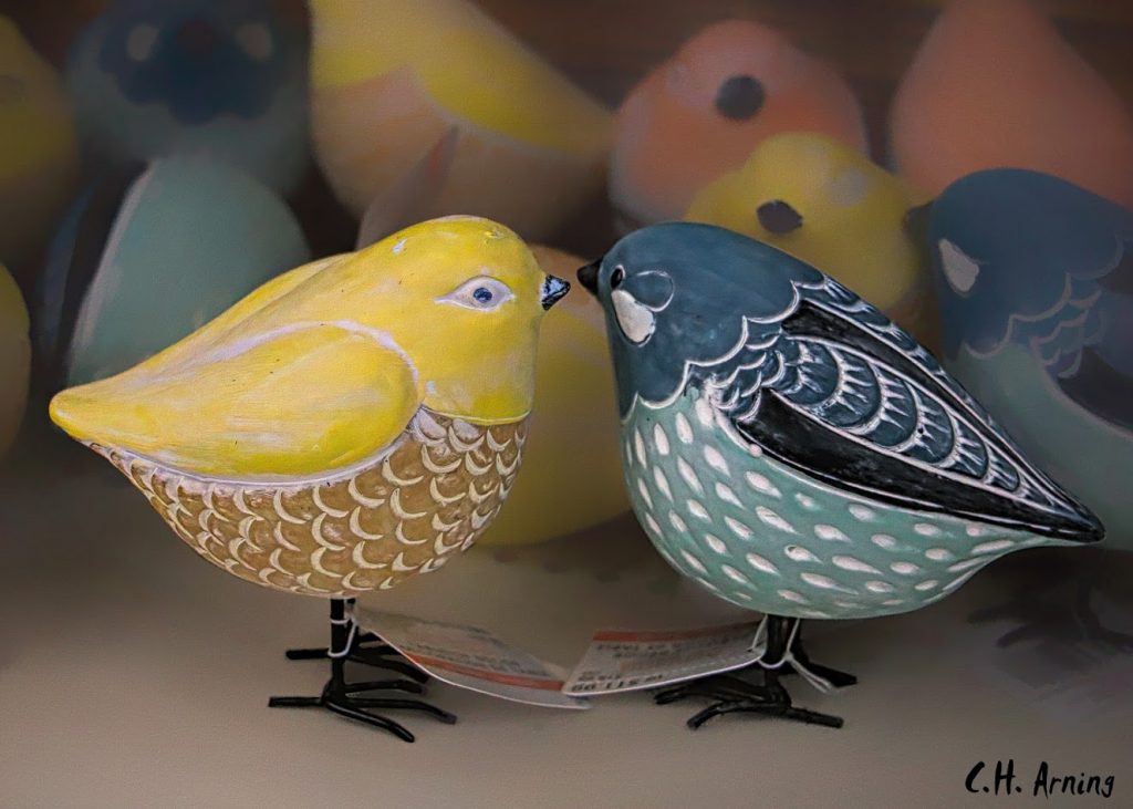 spring chicks