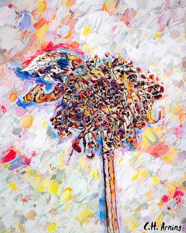 Dried Rose