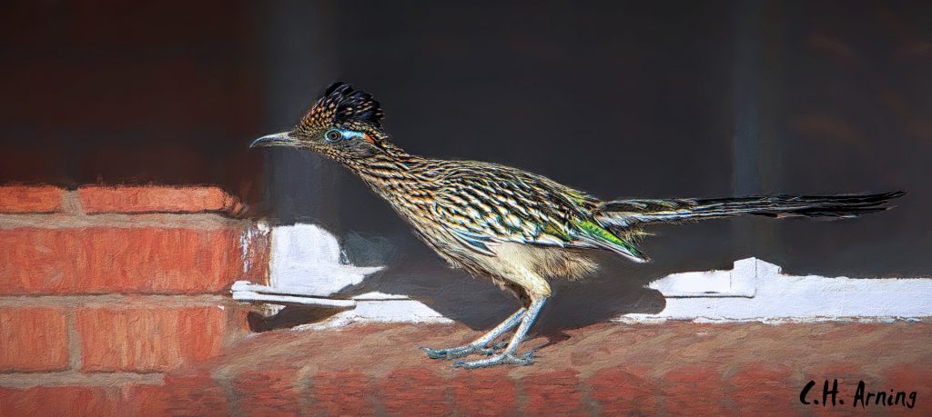 Window Runner