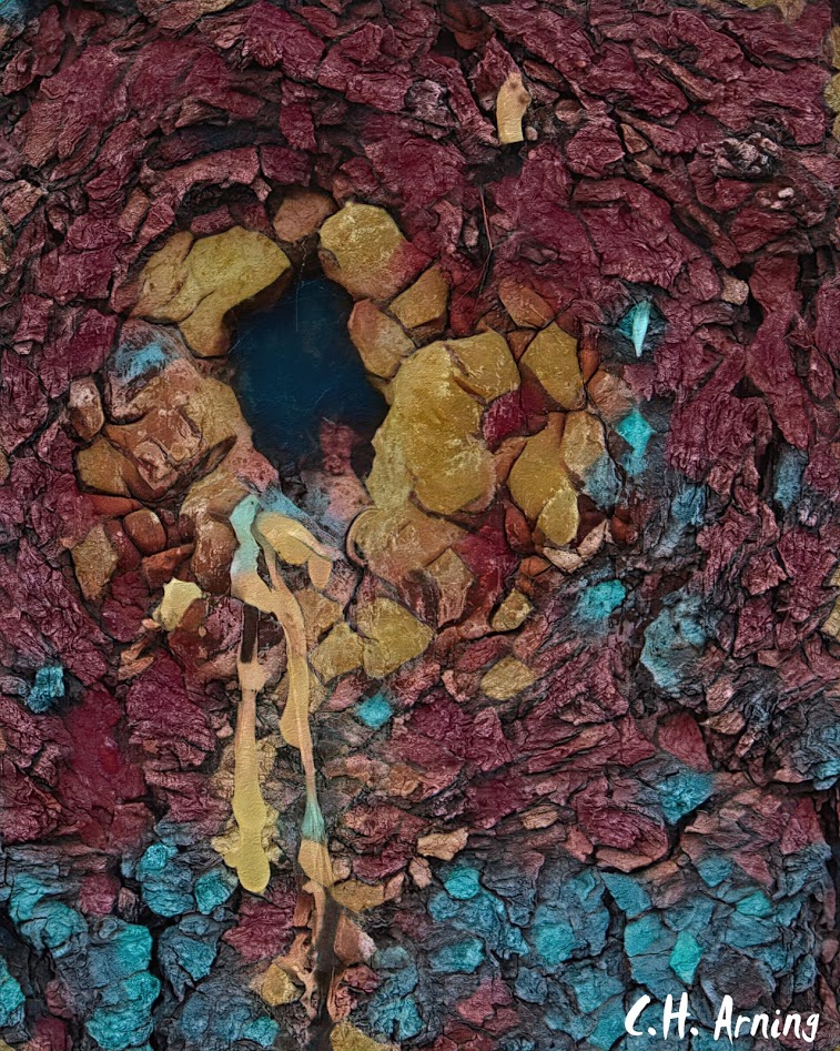 knothole
