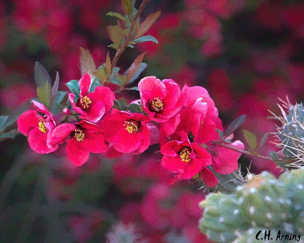spring