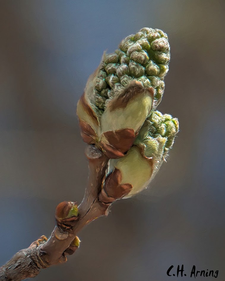 unfolding