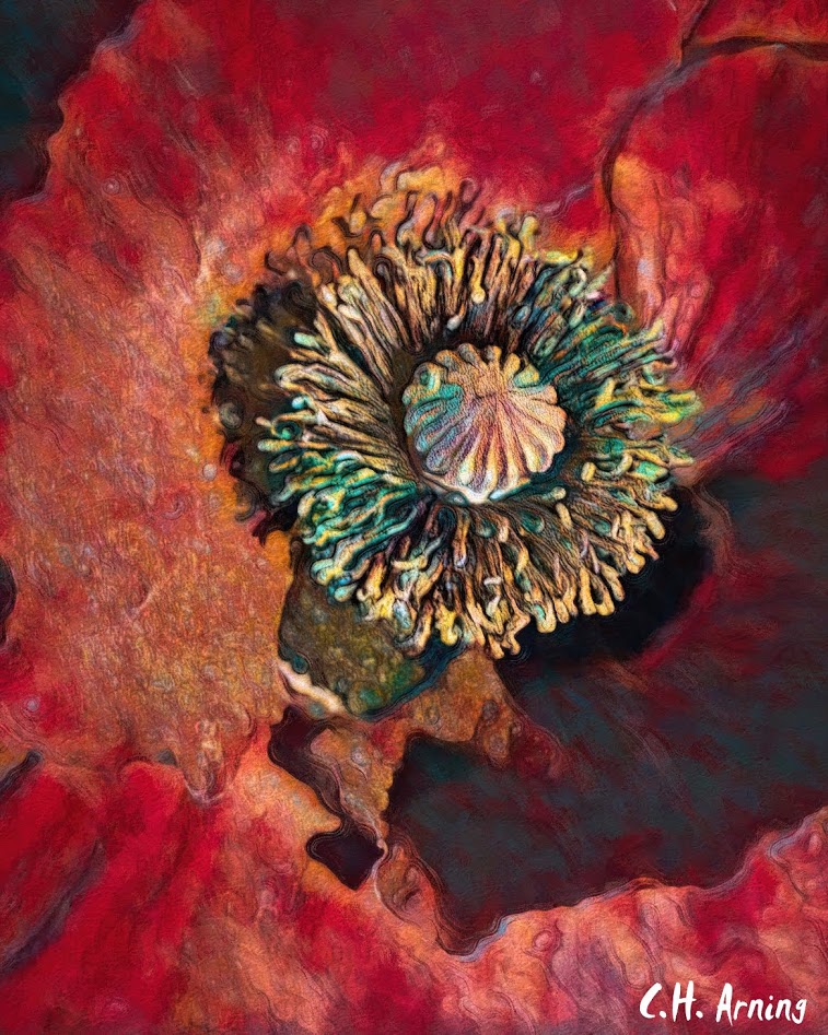 stamen