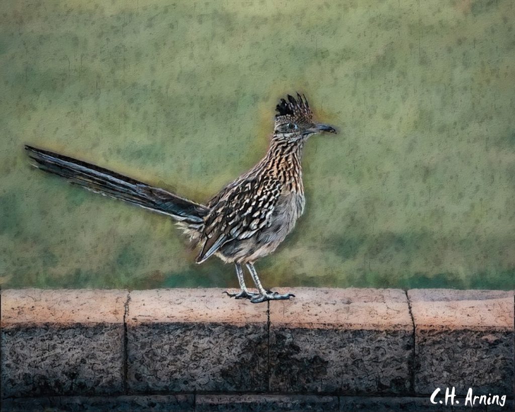 Wall Runner