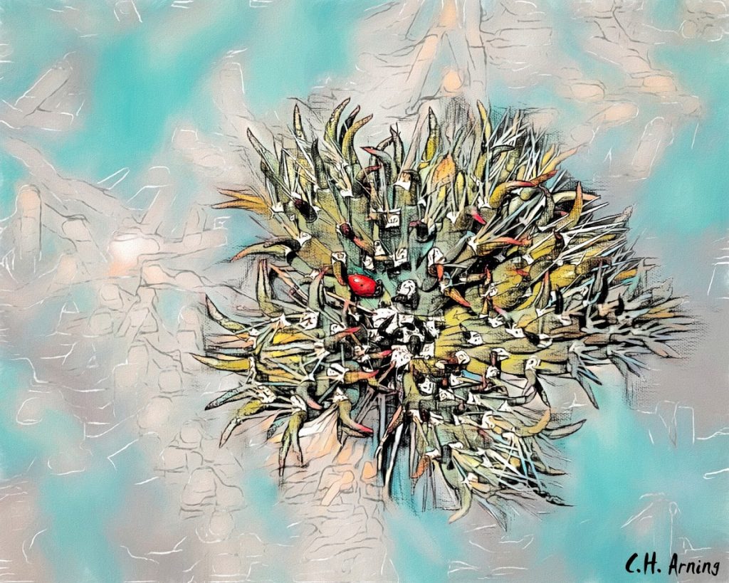 New Growth