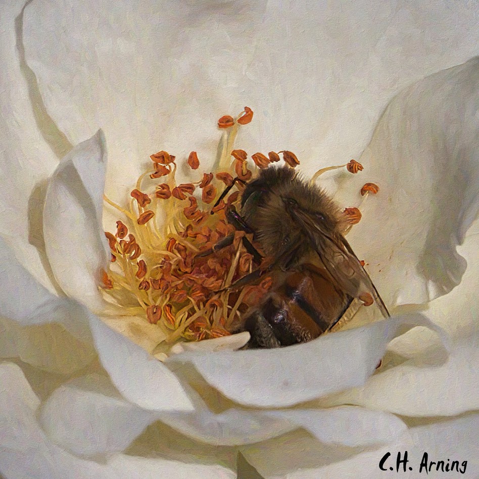 rolling in pollen