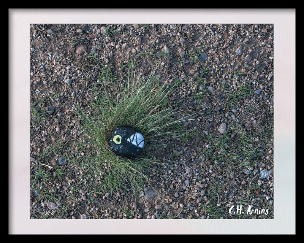 painted rock