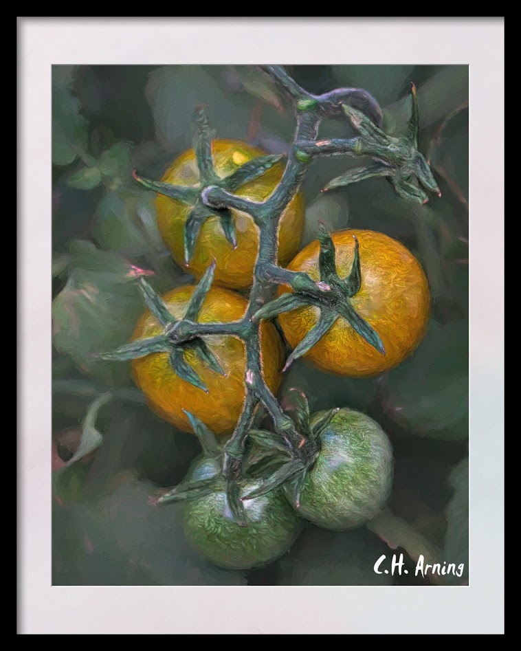 cherry tomatoes