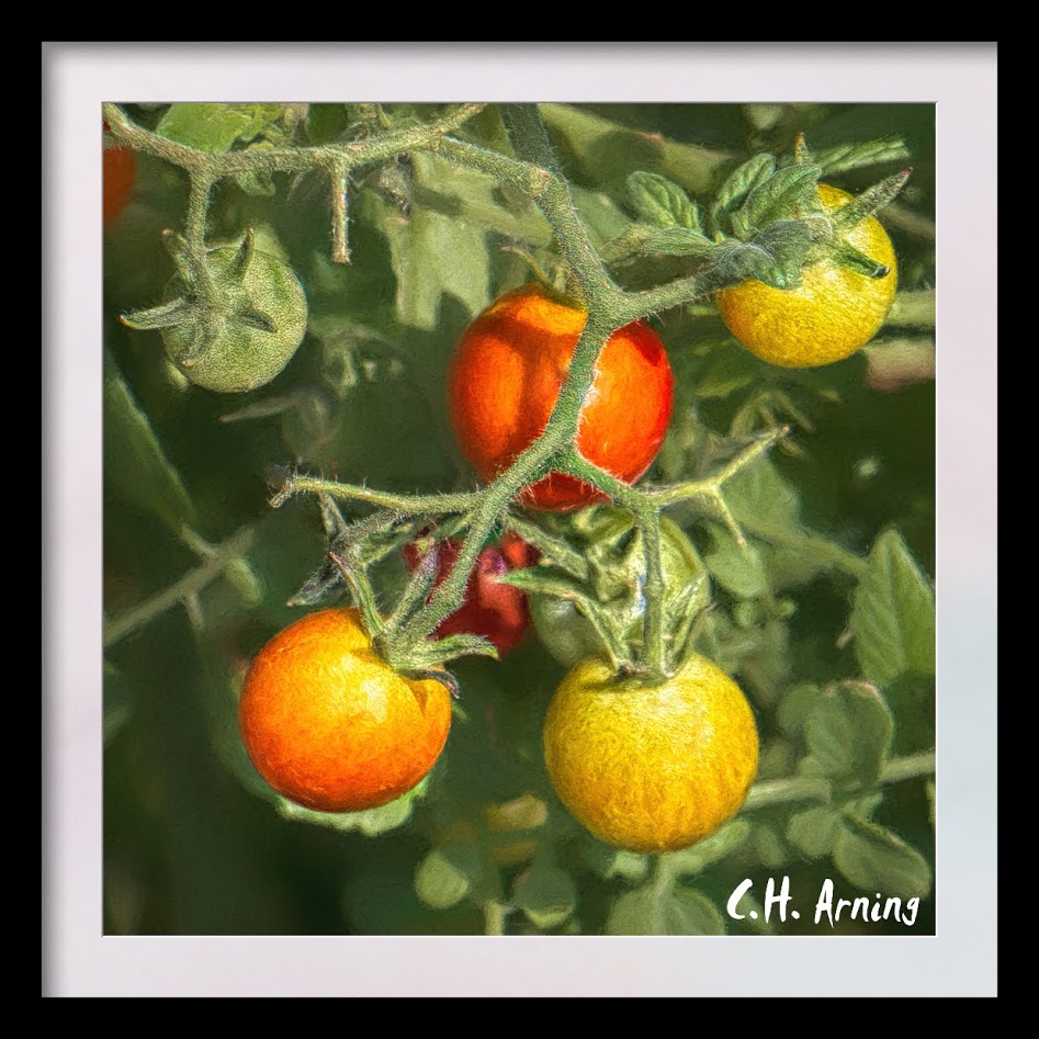 cherry tomatoes