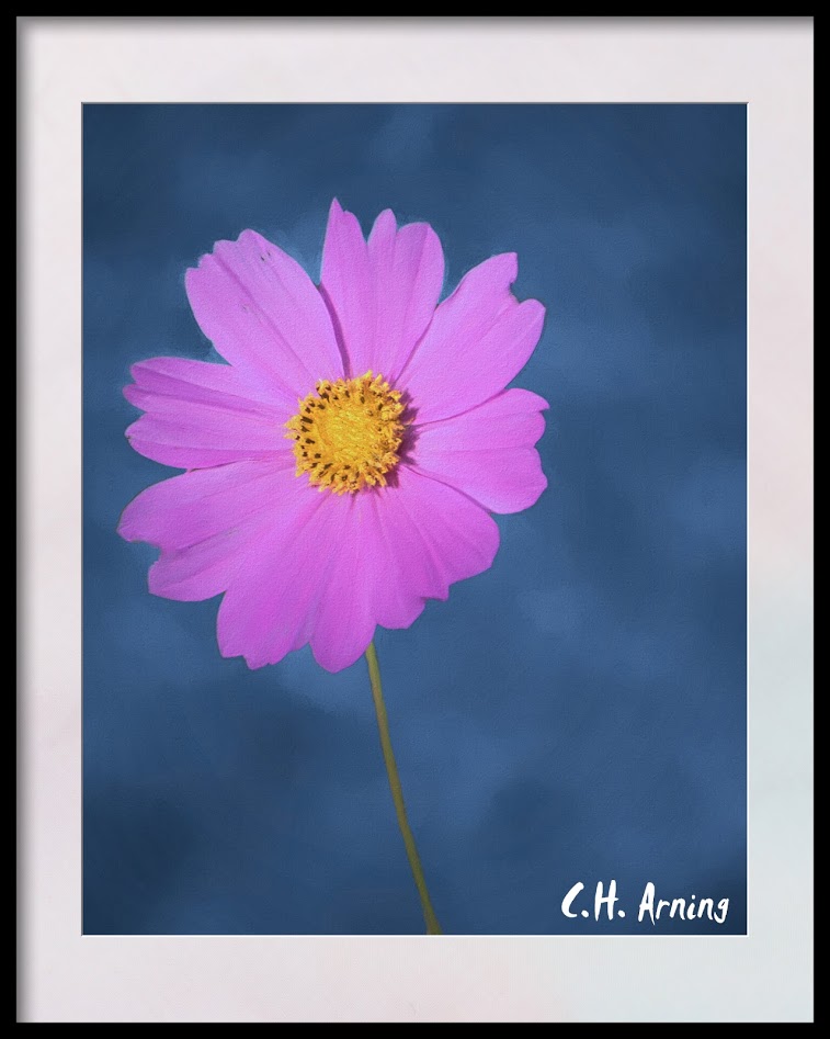 Fall Flower