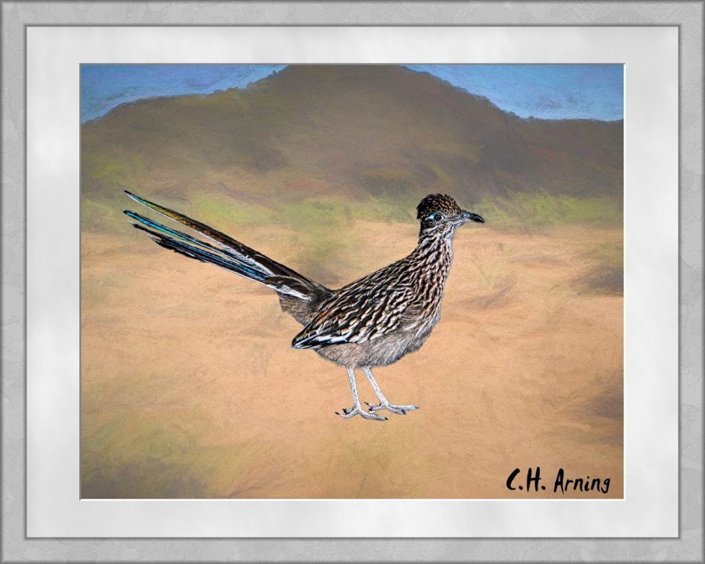 State Bird