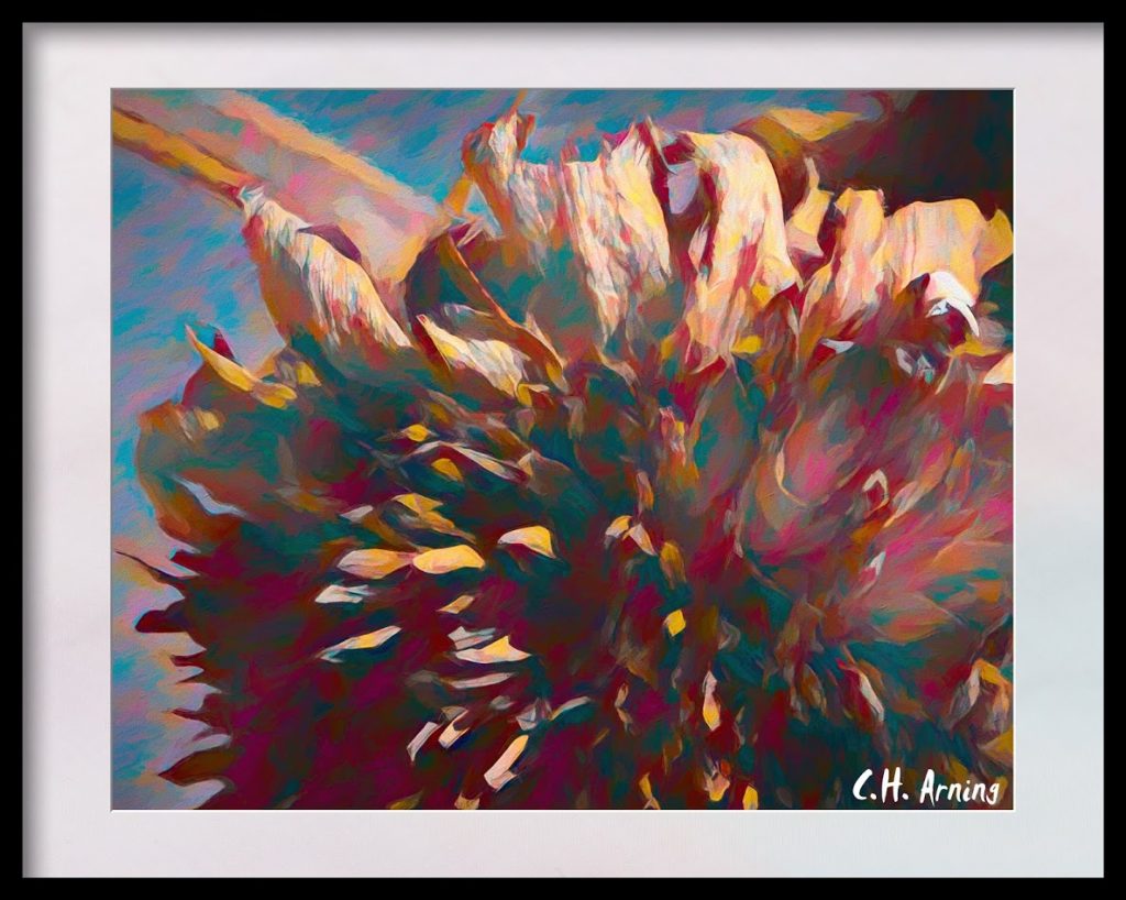 spikey, thistle-like