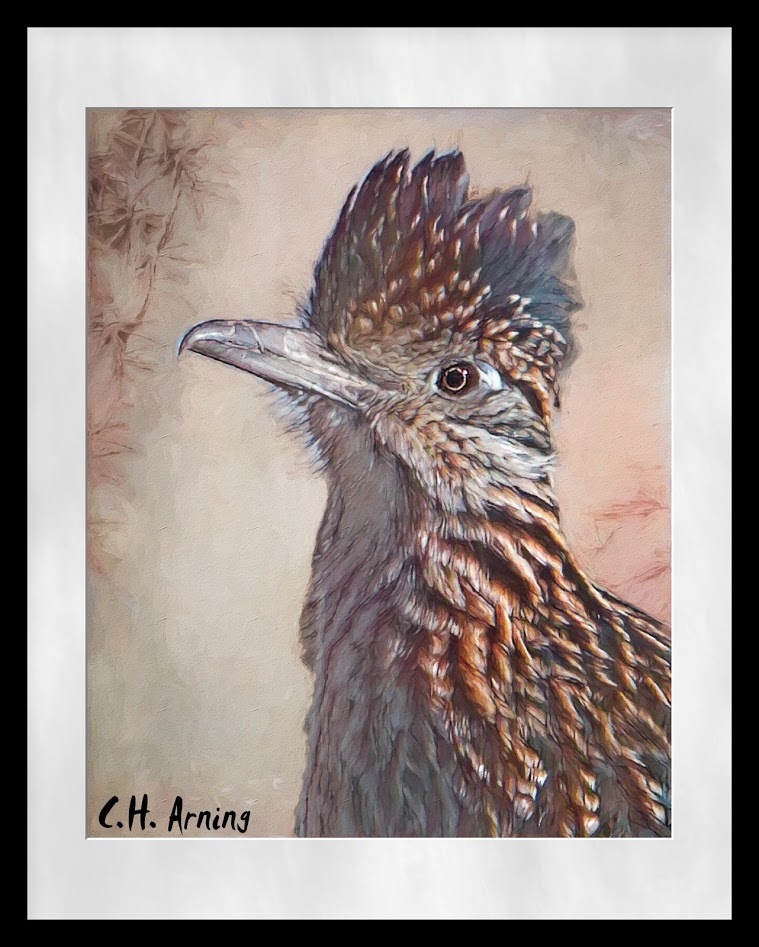 Roadrunner