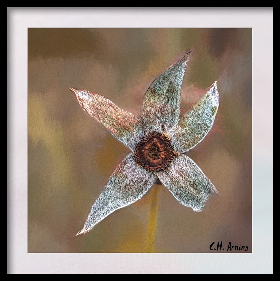 Broken Star