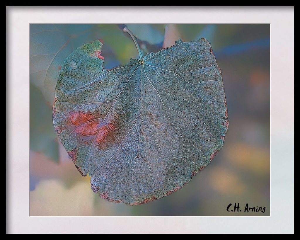 Leaf in Green