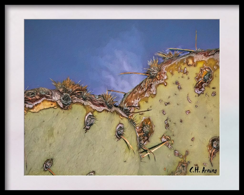 prickly pear