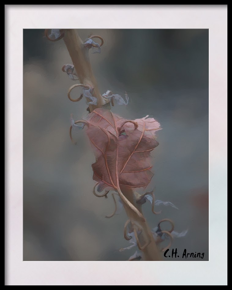 captured