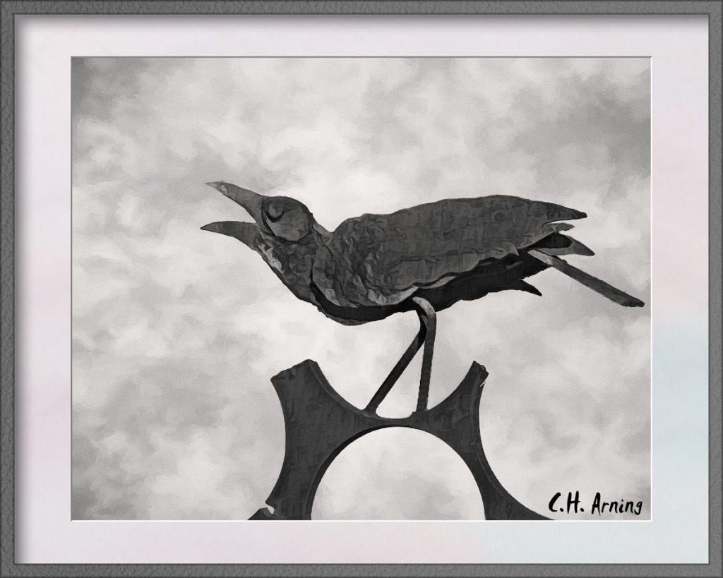 caw