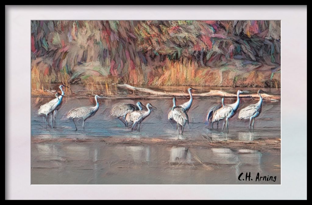 Cranes