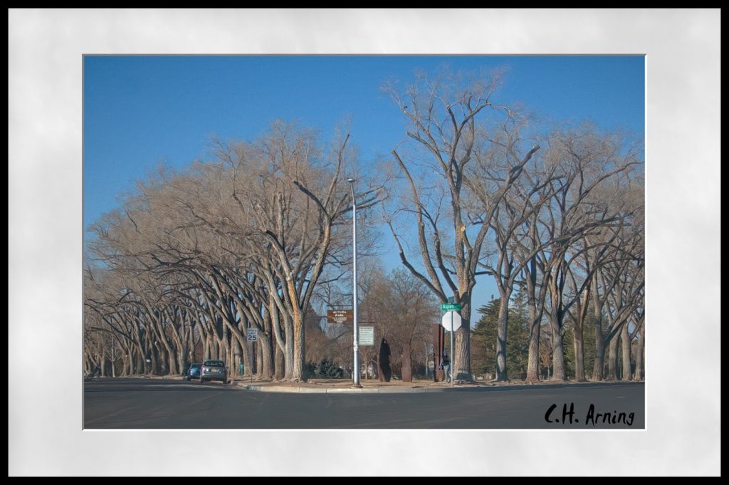 Altura Park