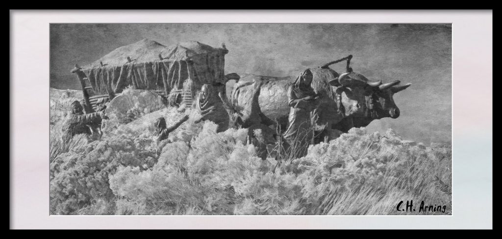 settlers