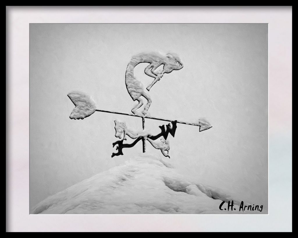 Kokopelli in vane