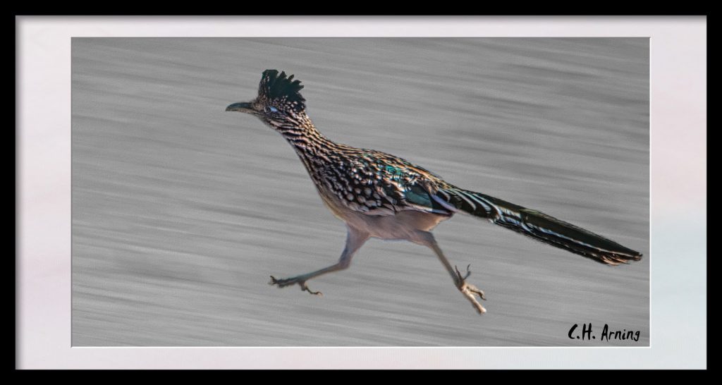 Running