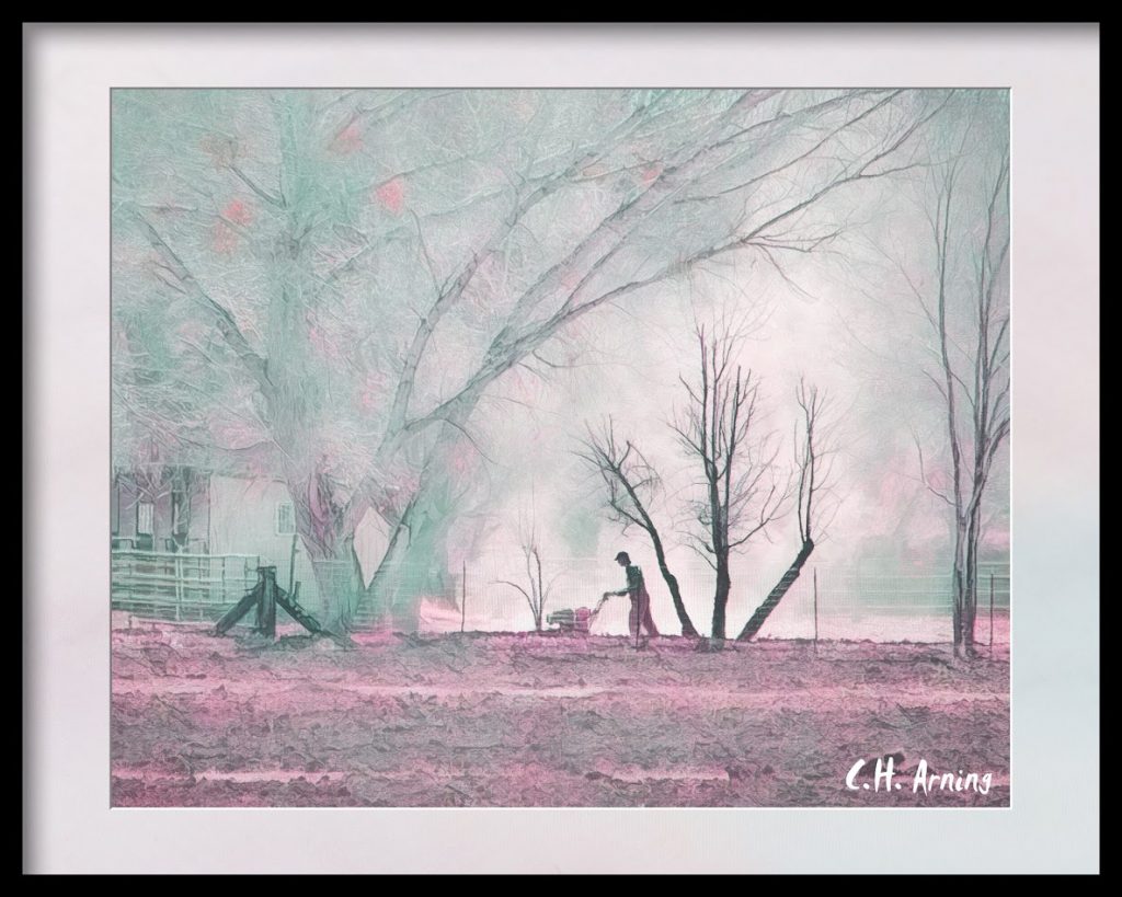 Rural Life