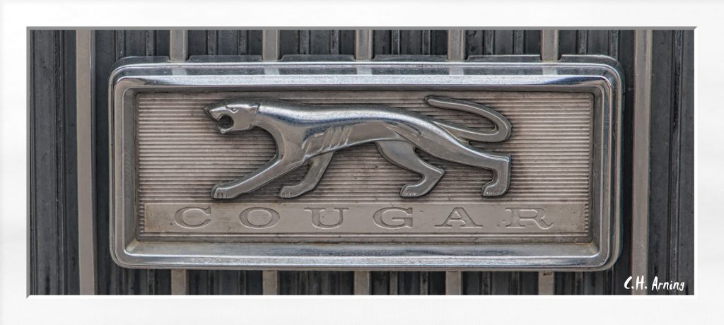 Cougar XR7