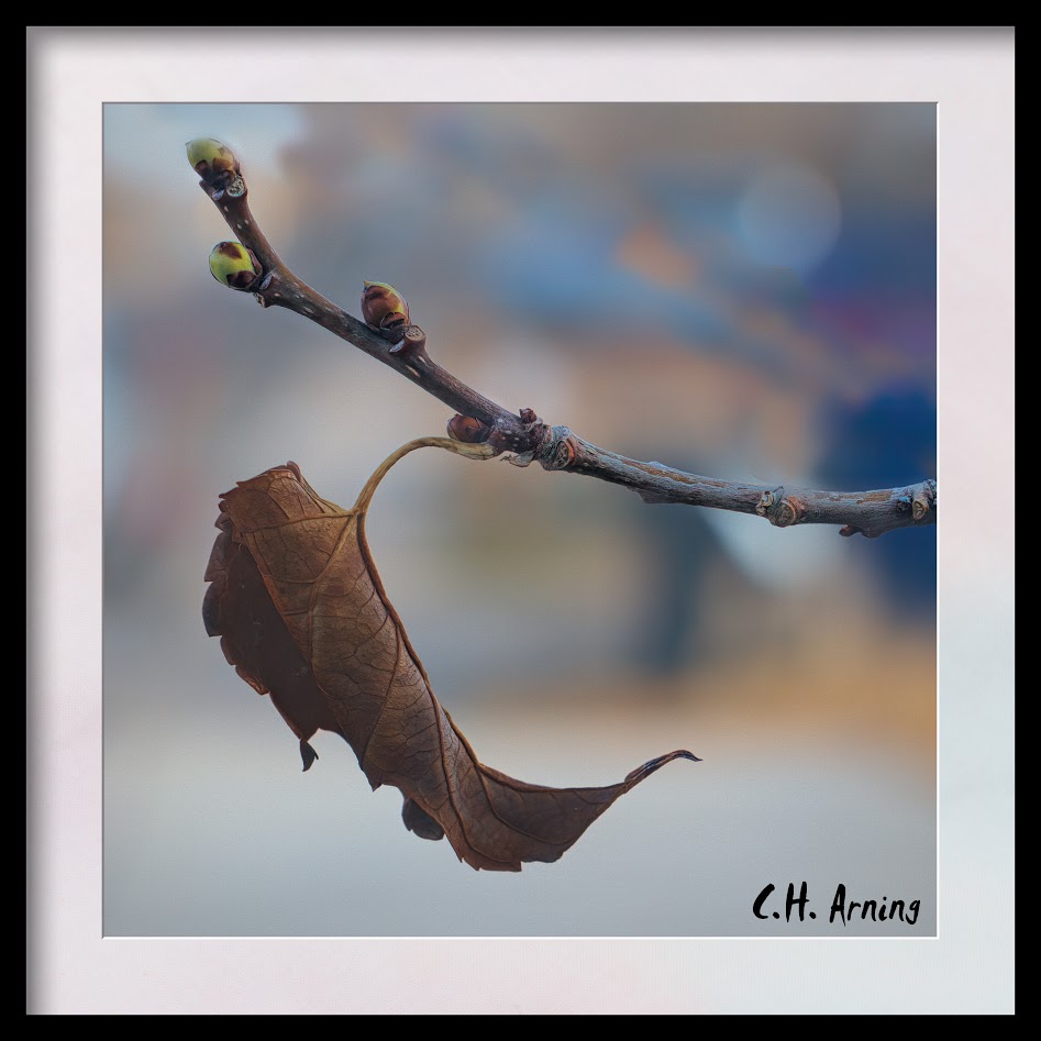 Still hanging on