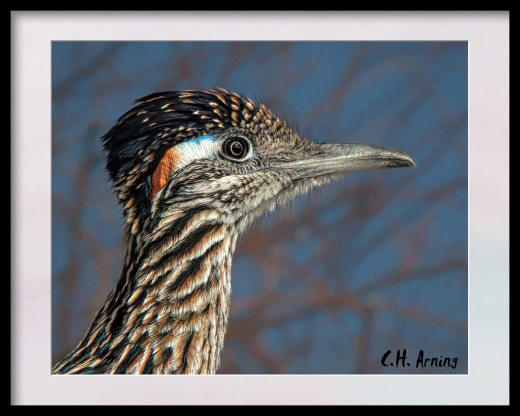 Roadrunner