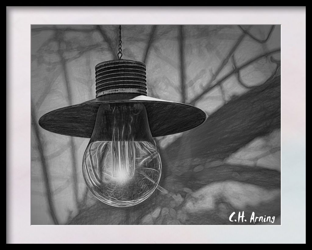 Yard Light