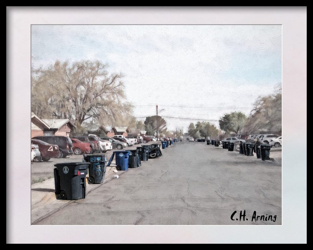 Trash Day