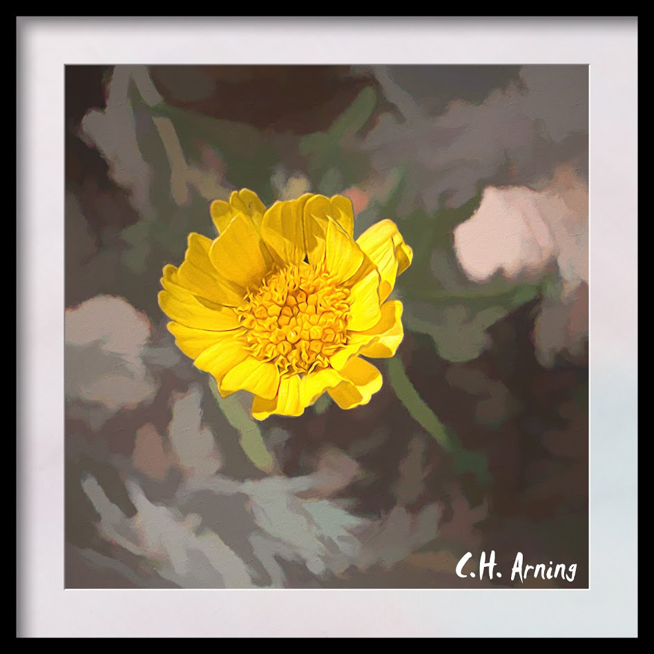 Small Flower