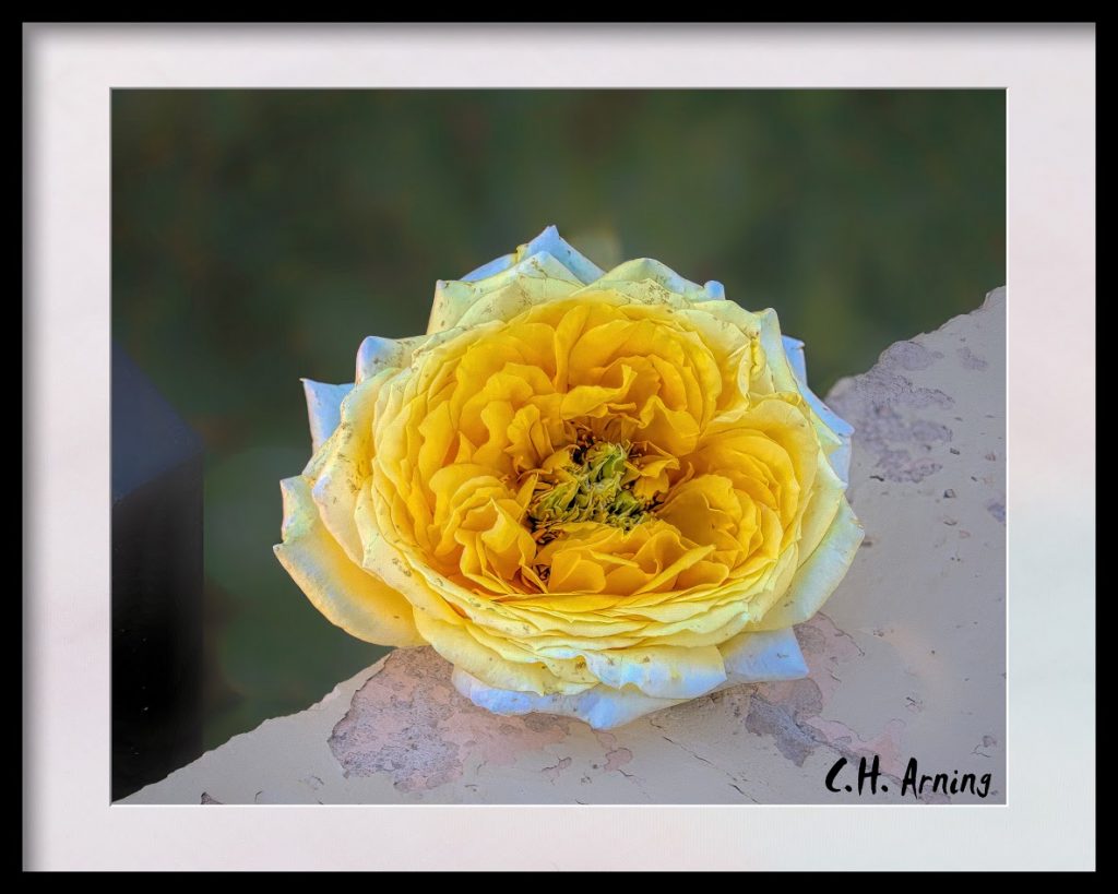 Along a wall