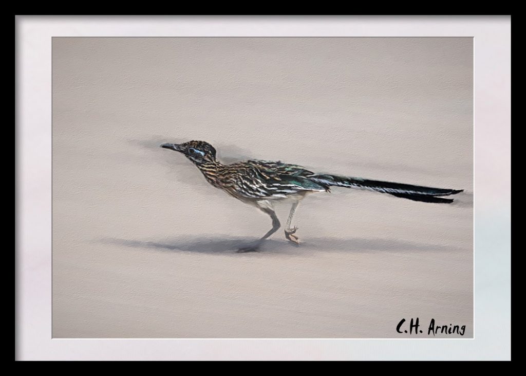 In Motion
