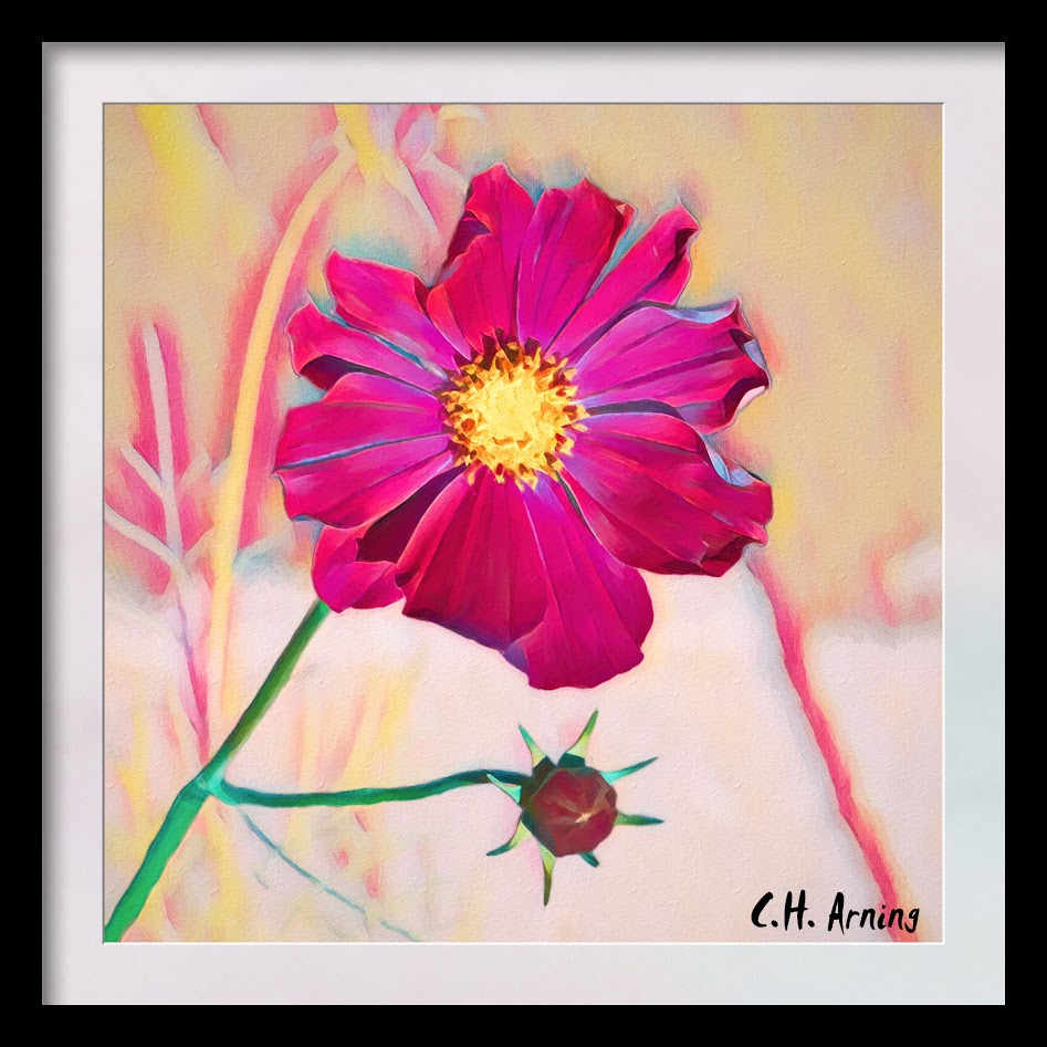 Spring Flower