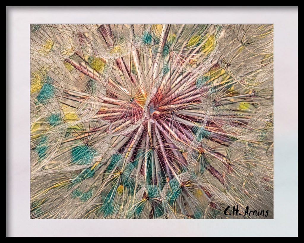 blowball