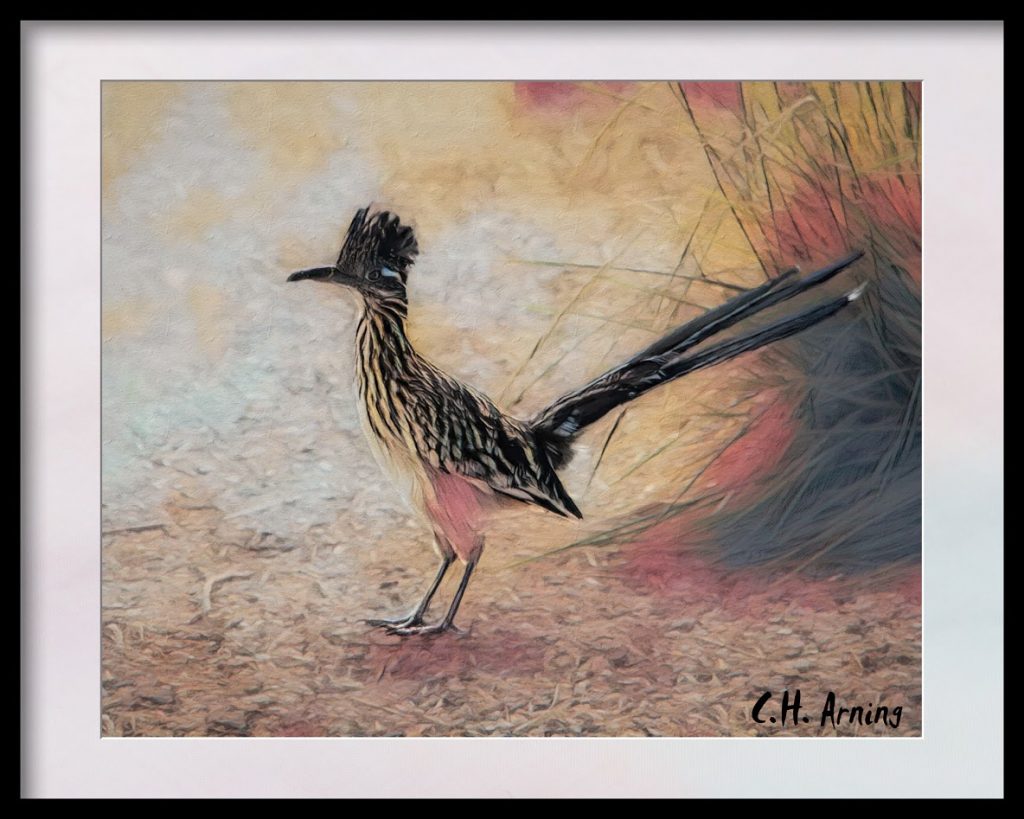 State Bird