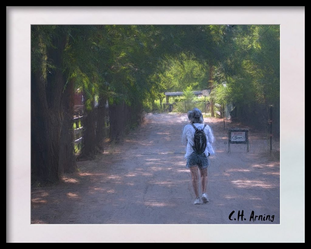 Sunday Stroll