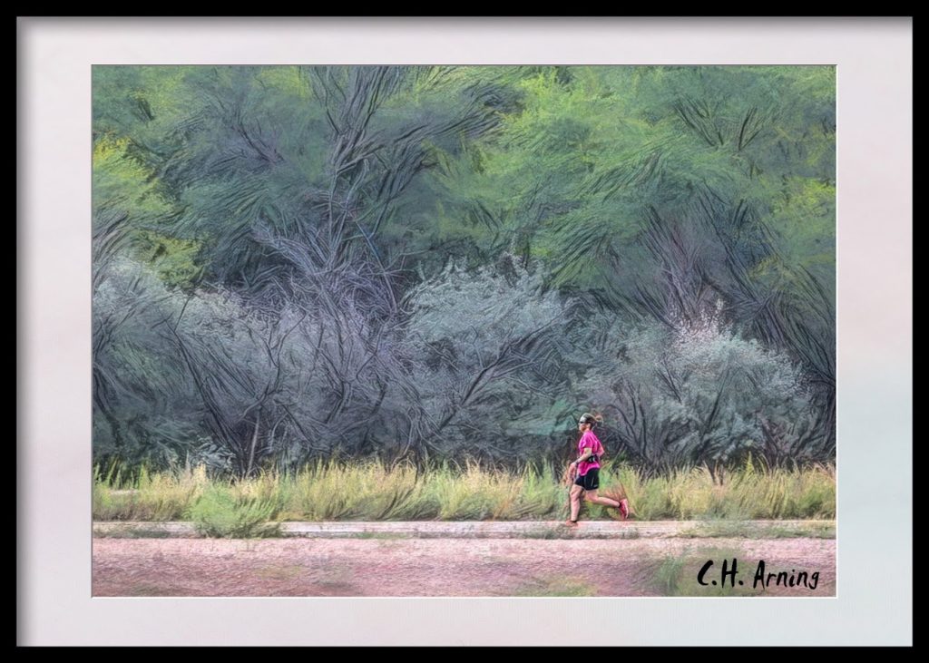 bosque runner