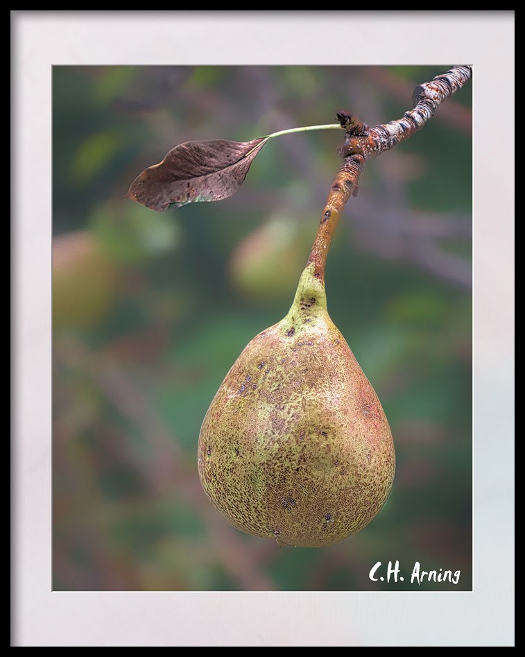 Pear