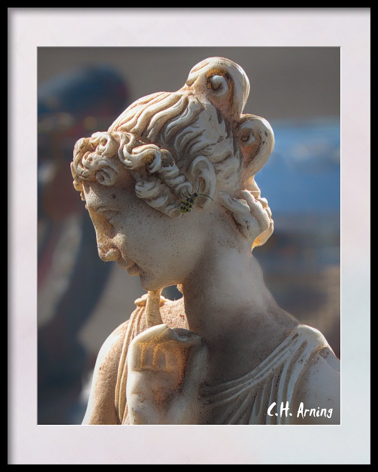 Niobe