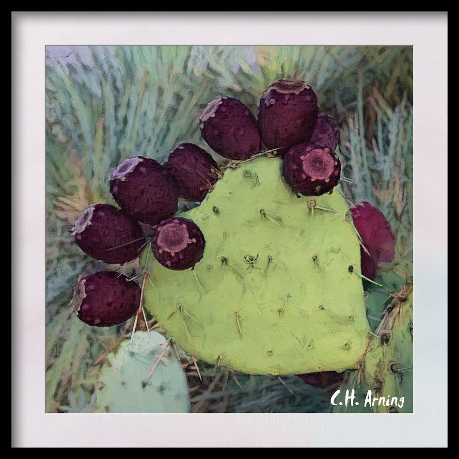 Cactus Fruit