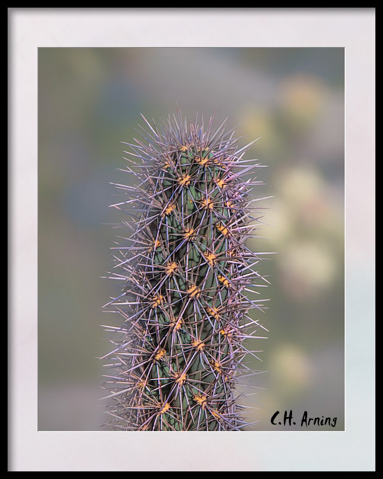 thorny