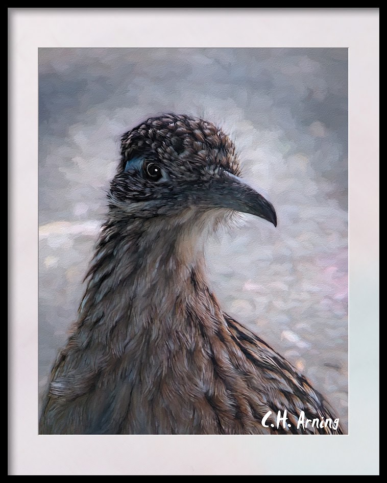 Roadrunner