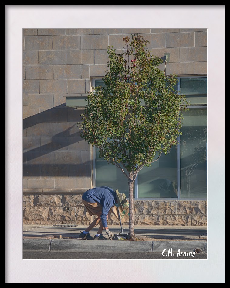 Keeping the City Clean